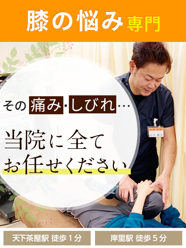 珍しい 痛みや不安を軽減！膝関節リウマチのケアセット リール - seniorwings.jpn.org
